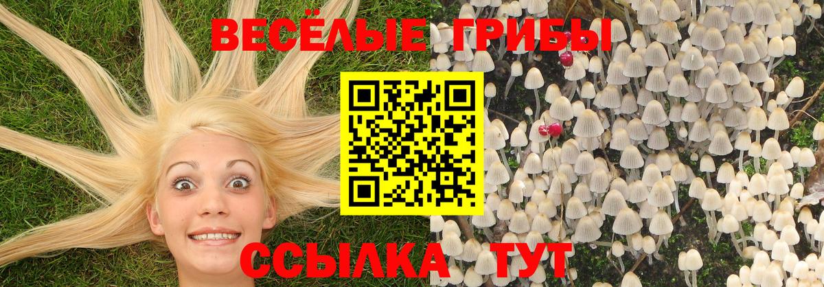 Галлюциногенные грибы MAGIC MUSHROOMS  Псилоцибиновые грибы GOLDEN TEACHER  Губкин  Вход с VPN 