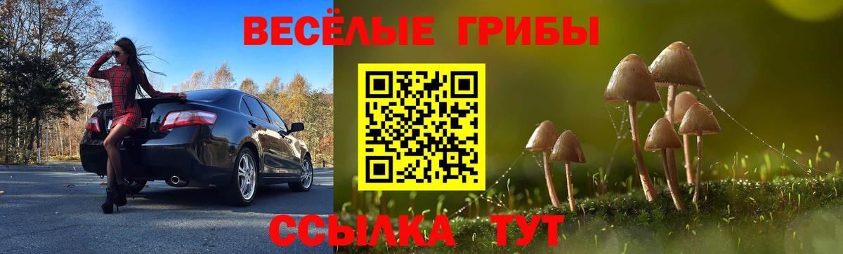 Псилоцибиновые грибы Cubensis Губкин